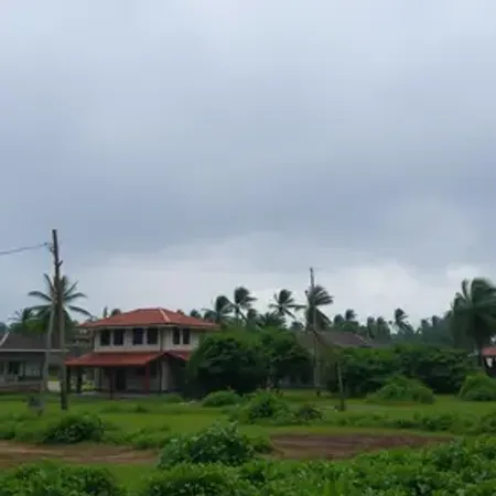 Garuva decreta situação de emergência após vendaval com rajadas de até 98 km/h