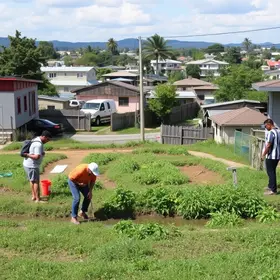 Águas de Joinville abre consulta pública sobre PPP para ampliar rede de esgoto em quatro bairros