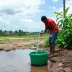 Com sete anos de antecedência, Joinville alcança meta de perdas de água prevista no Marco do Saneamento para 2033