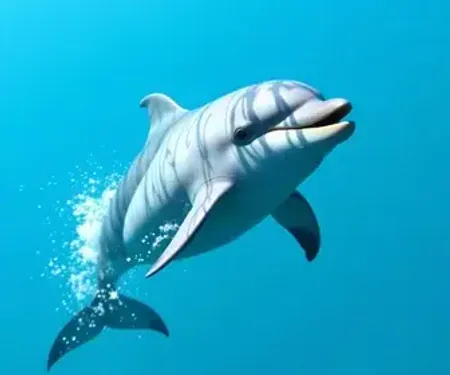 Dia Internacional da Toninha convida a comunidade a conhecer e proteger um dos golfinhos mais ameaçados do planeta