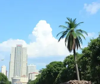Cepat de Joinville divulga lista com mais de 1,6 mil vagas de emprego e promove Feira de Oportunidades no Aventureiro