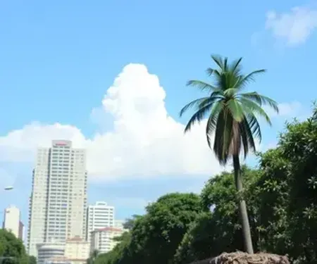 Cepat de Joinville divulga lista com mais de 1,6 mil vagas de emprego e promove Feira de Oportunidades no Aventureiro