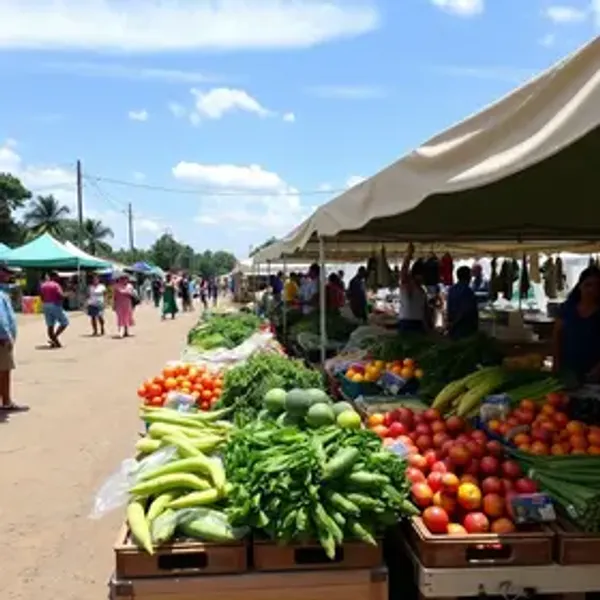 Feira Direto do Campo será realizada pela primeira vez no Centro de Joinville