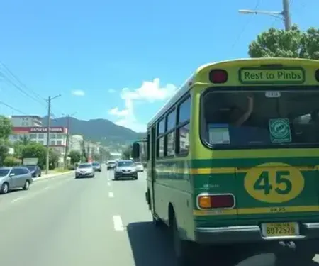 Transporte intermunicipal gratuito em Santa Catarina no dia das eleições