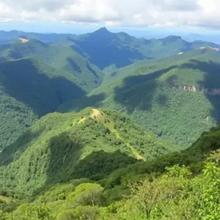 Vai à Serra catarinense pela primeira vez? Veja o que fazer e como aproveitar neste mês de agosto