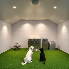 Novo Crematório Pet em Joinville traz estrutura moderna e acolhimento exclusivo para cães e gatos