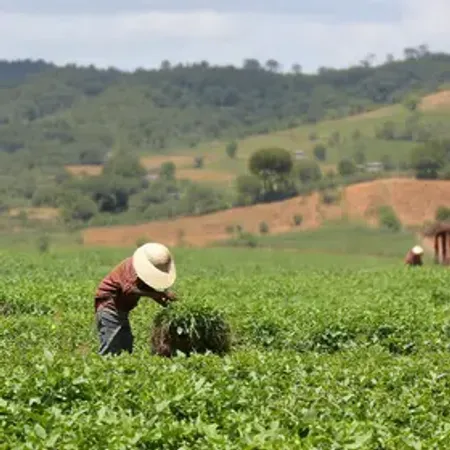 BB intensifica atendimento para apoiar produtores de Santa Catarina na renegociação de dívidas rurais