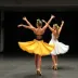 Oportunidade: Instituto Festival de Dança de Joinville abre inscrições para cursos gratuitos nos bastidores