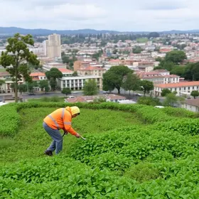 São Francisco do Sul antecipa ações contra o El Niño e realiza limpeza em mais de 120 pontos