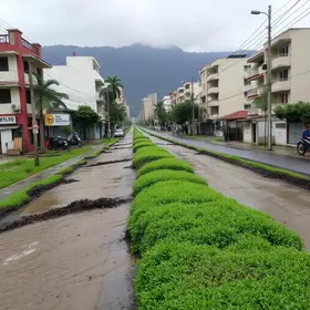 Joinville reforça prevenção contra o El Niño e amplia limpeza da drenagem urbana