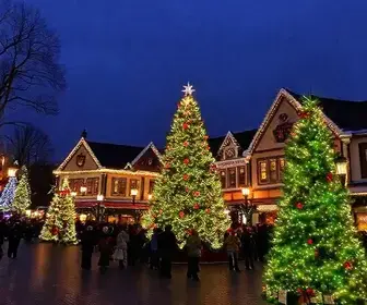 Natal de Joinville promete encantar o público com atrações tradicionais e muitas novidades para 2026