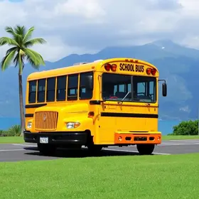 Ônibus escolar vira hospedagem de alto padrão na nova queridinha dos turistas em SC