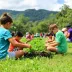 Junho Verde promove atividades ao ar livre para todas as idades no próximo sábado em Joinville