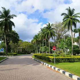 Pavimentação da Estrada Timbé entra na reta final e transforma acesso no Jardim Paraíso