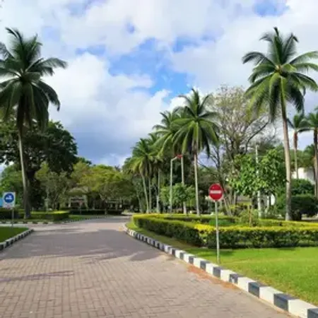 Pavimentação da Estrada Timbé entra na reta final e transforma acesso no Jardim Paraíso